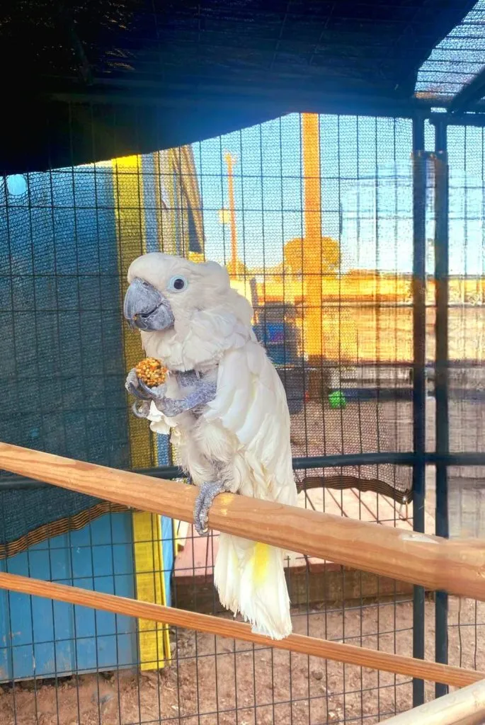 Welcome to The Gud Ark, photo 3